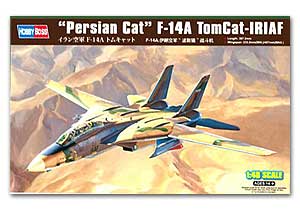 F-14A TomCat - IRIAF  "Persian Cat" Ҵ 1/48 ͧ Hobbyboss