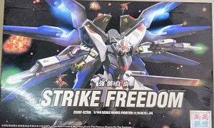 Strike Freedom ZGMF-X20A HG Ҵ 1/144 ͧ TT Hongli
