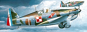 M.S.406 "Polish Air Force" Ҵ 1/72 ͧ Payanak