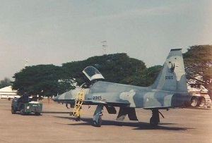 ..18 .  F-5E Tiger II ٧ 231  Ҵ 1/32 ͧ Payanak